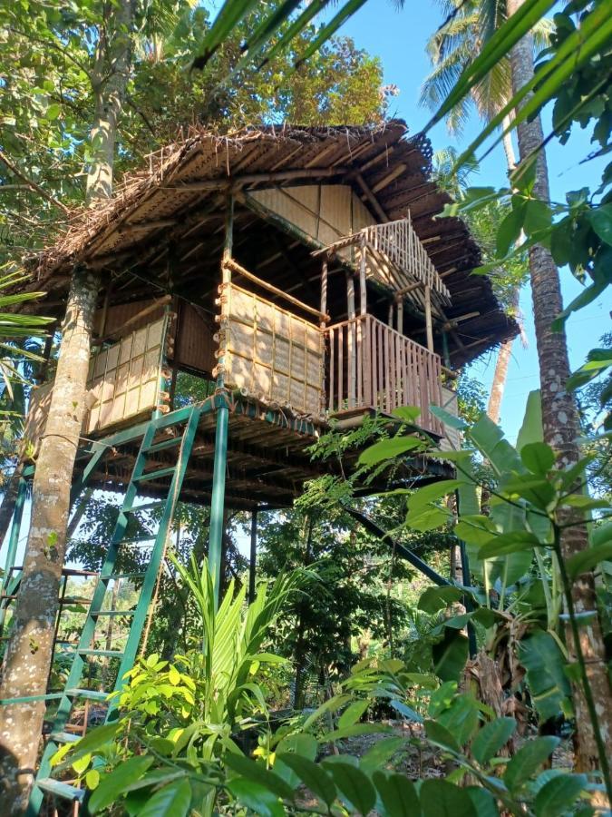 Kayyalas Courtyard Thrissur ภายนอก รูปภาพ
